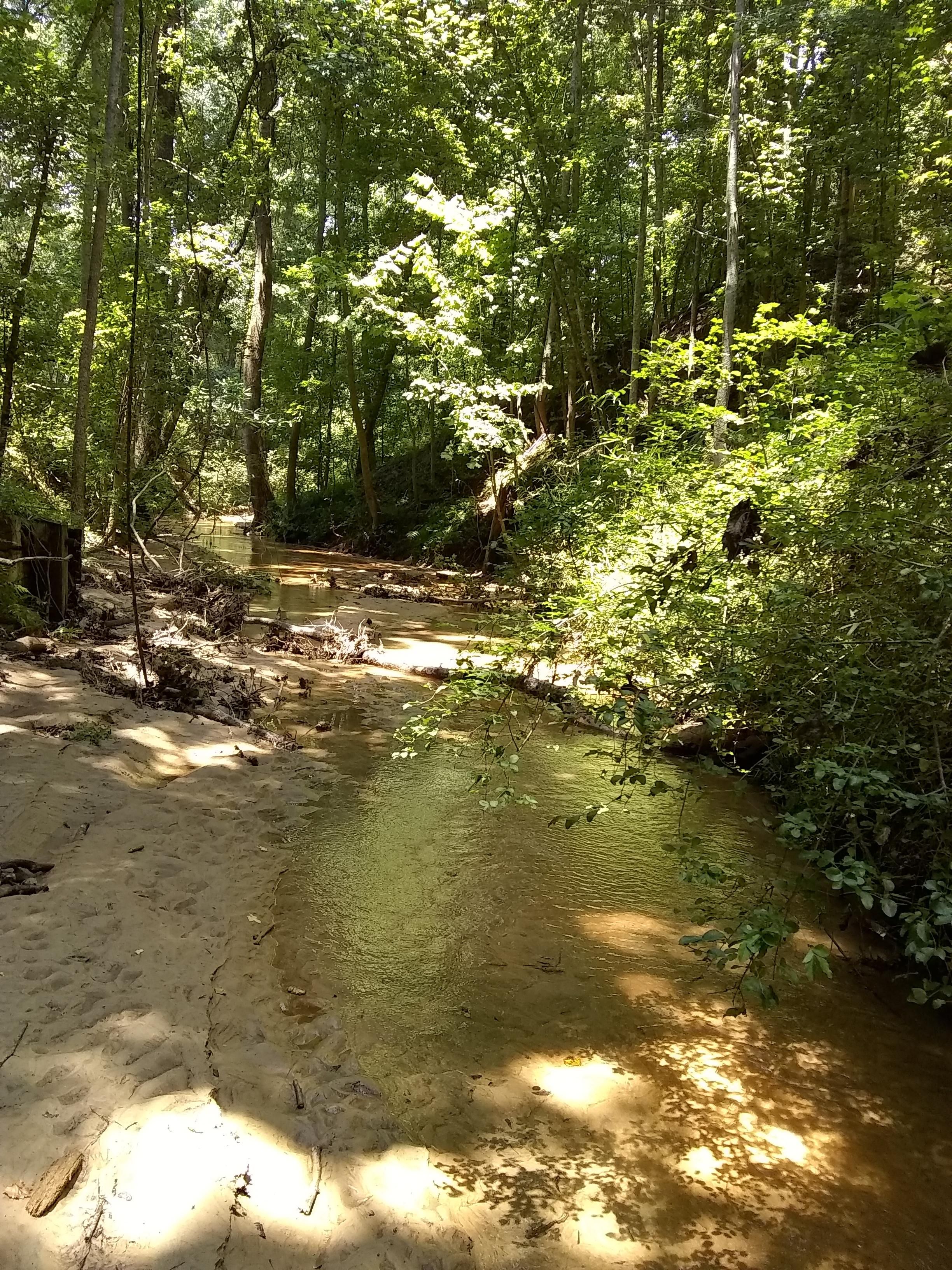 Cusseta, Chattahoochee County, GA Recreational Property, Timberland