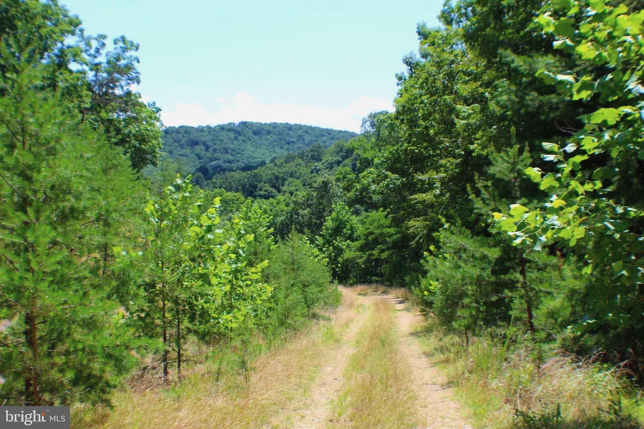 Baker, Hardy County, WV Undeveloped Land for sale Property ID