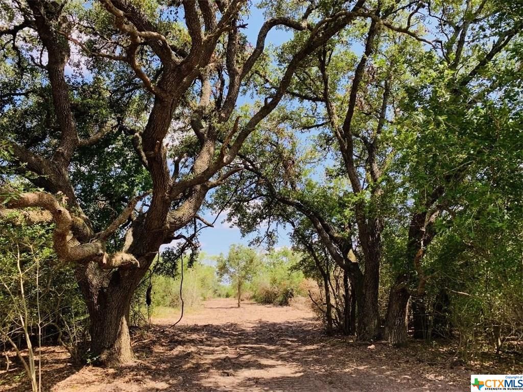 Thomaston, Dewitt County, TX Undeveloped Land, Homesites for sale Property ID 335850670 LandWatch