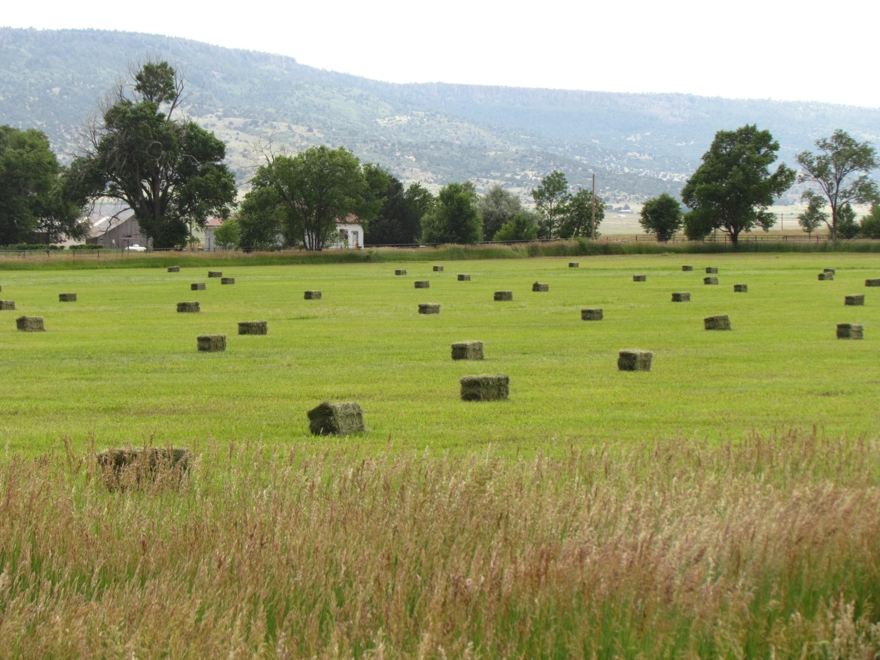 Miami, Colfax County, NM Recreational Property, House for sale Property