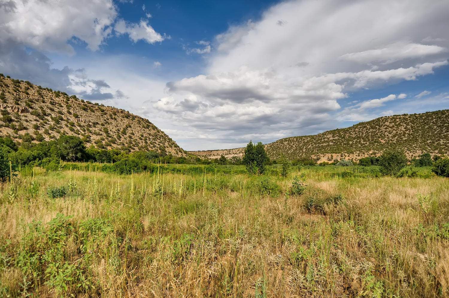 Villanueva, San Miguel County, NM Farms and Ranches, Lakefront Property