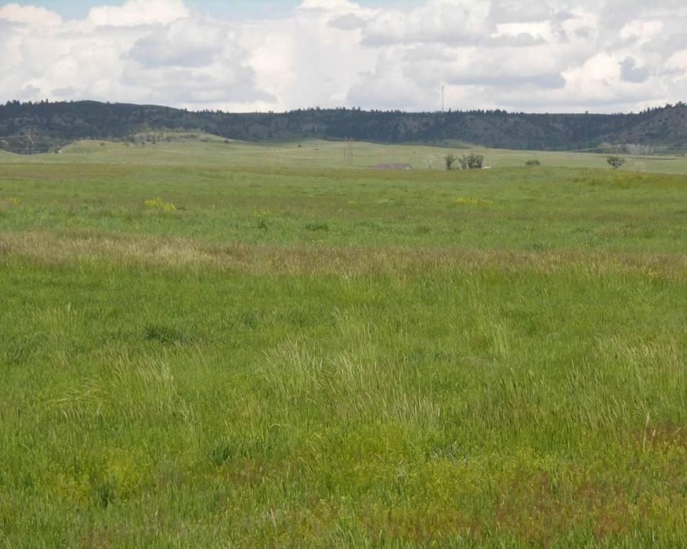 Big Timber, Sweet Grass County, MT Farms and Ranches, Hunting Property