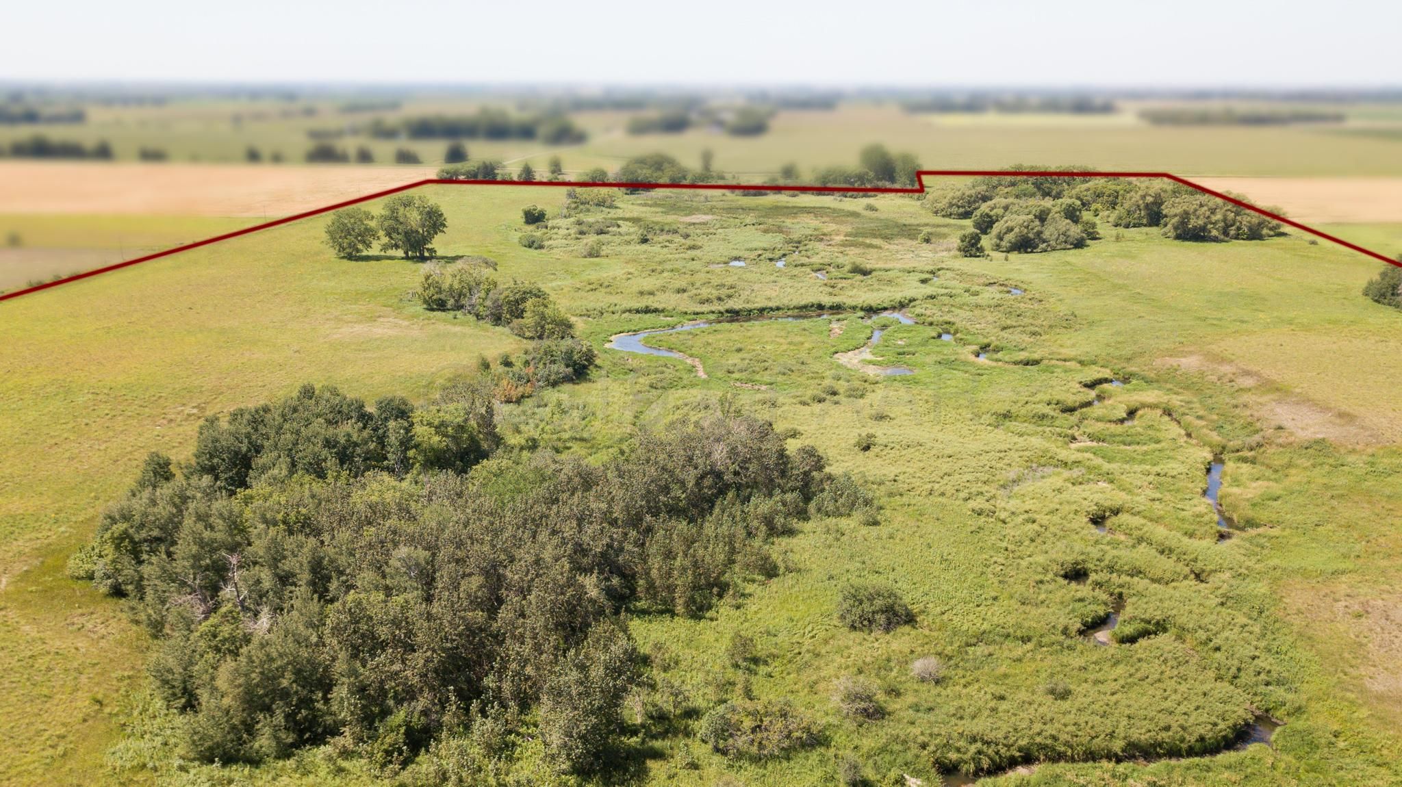 Fertile, Polk County, MN Undeveloped Land for sale Property ID