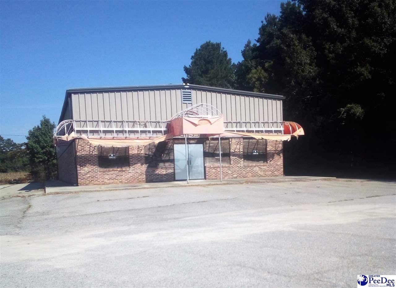 Hamer, Dillon County, SC Commercial Property, House for sale Property ID 335875272 LandWatch