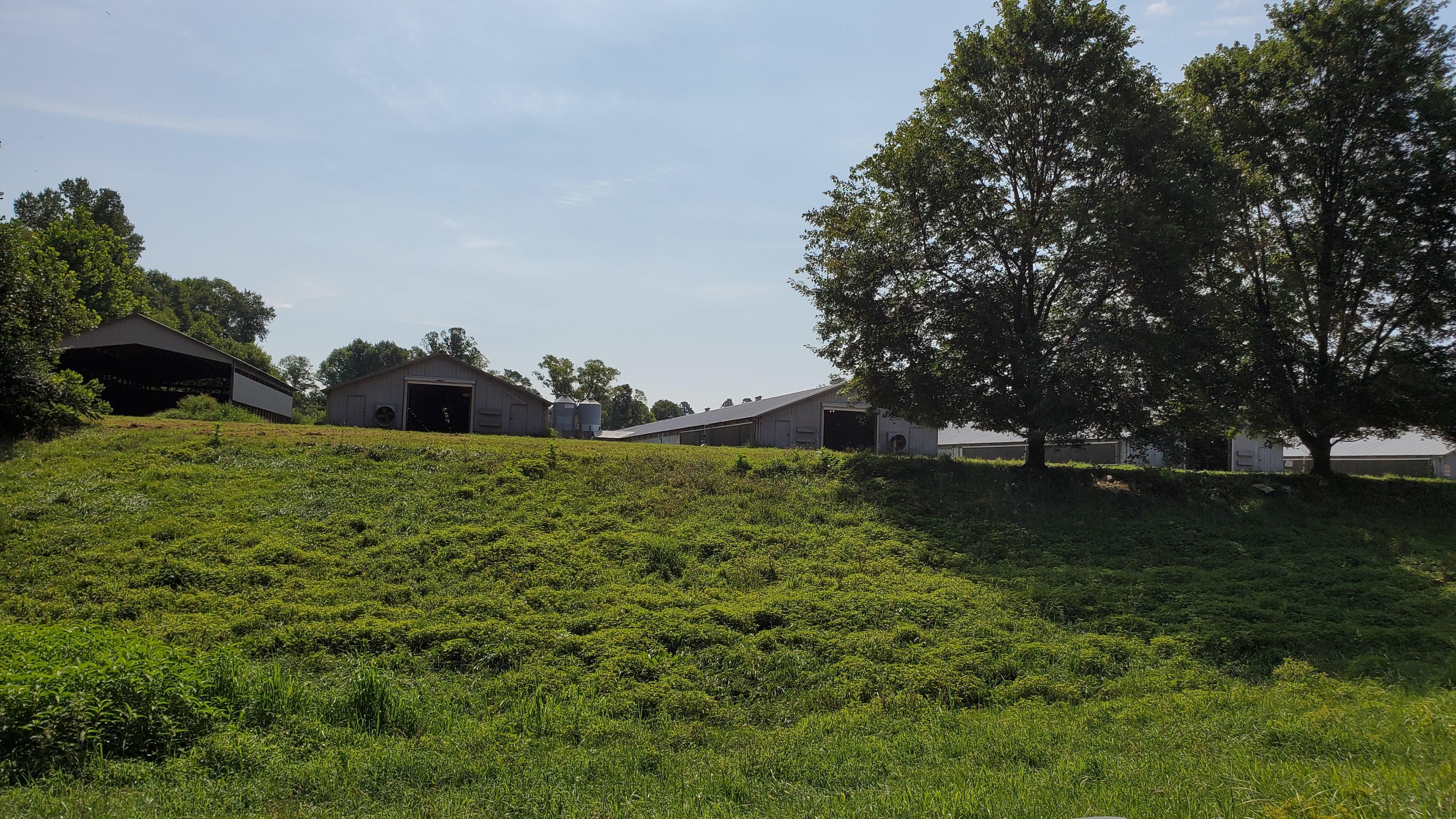 387 Old Clear Creek Road, Ellijay, GA 30536 LandWatch