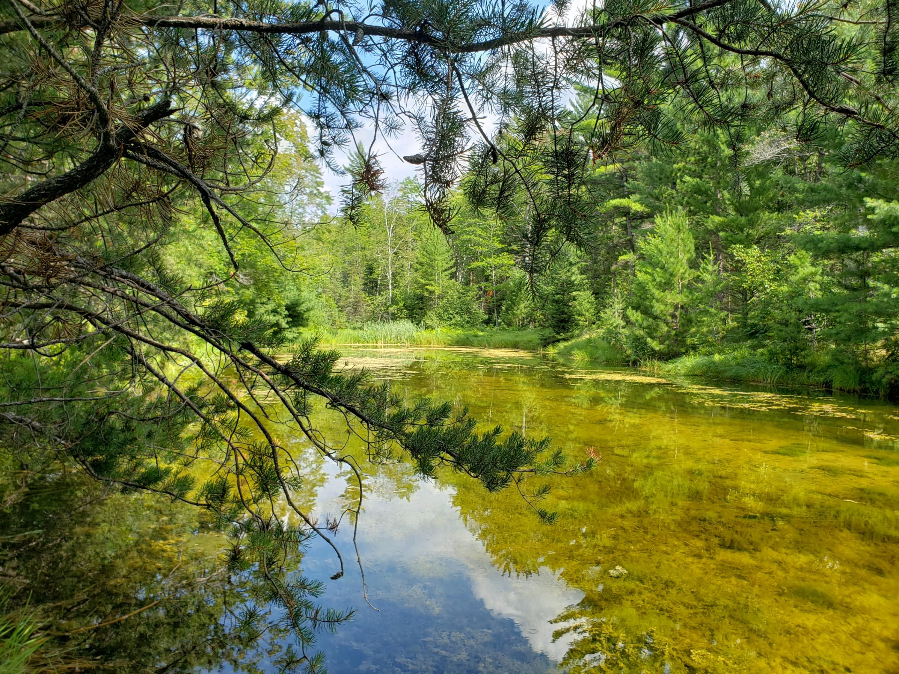 Luzerne, Oscoda County, MI Undeveloped Land, Lakefront Property