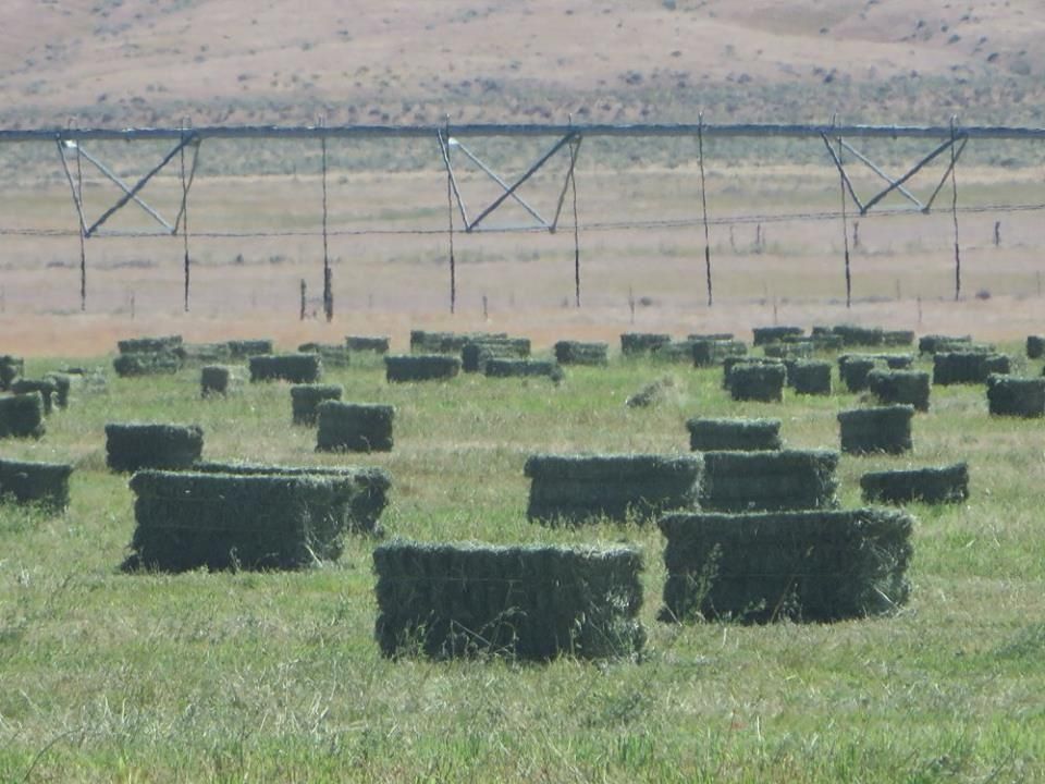 Winnemucca, Pershing County, NV Farms and Ranches for sale Property ID
