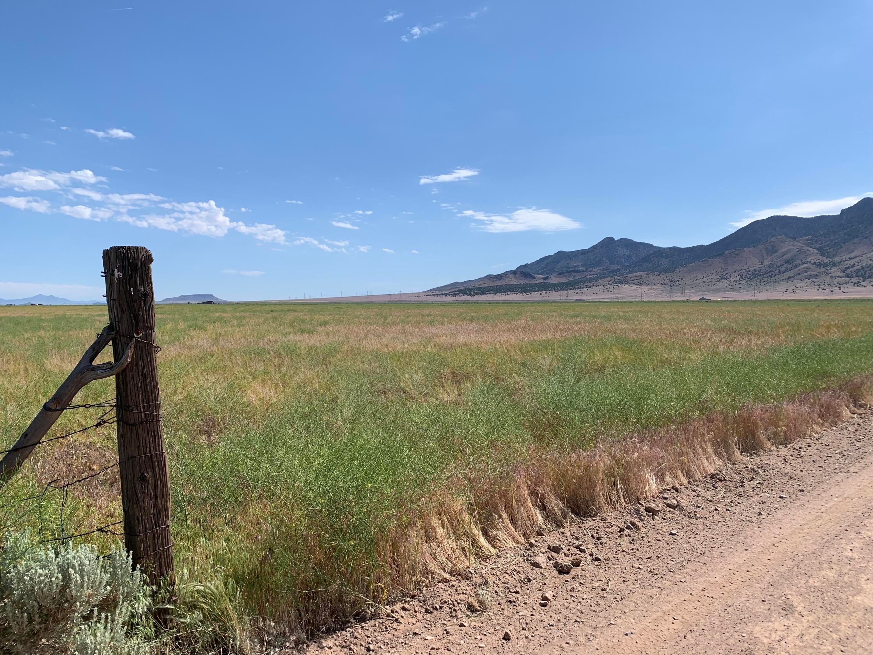 Newcastle, Iron County, UT Undeveloped Land for sale Property ID 335912802 LandWatch