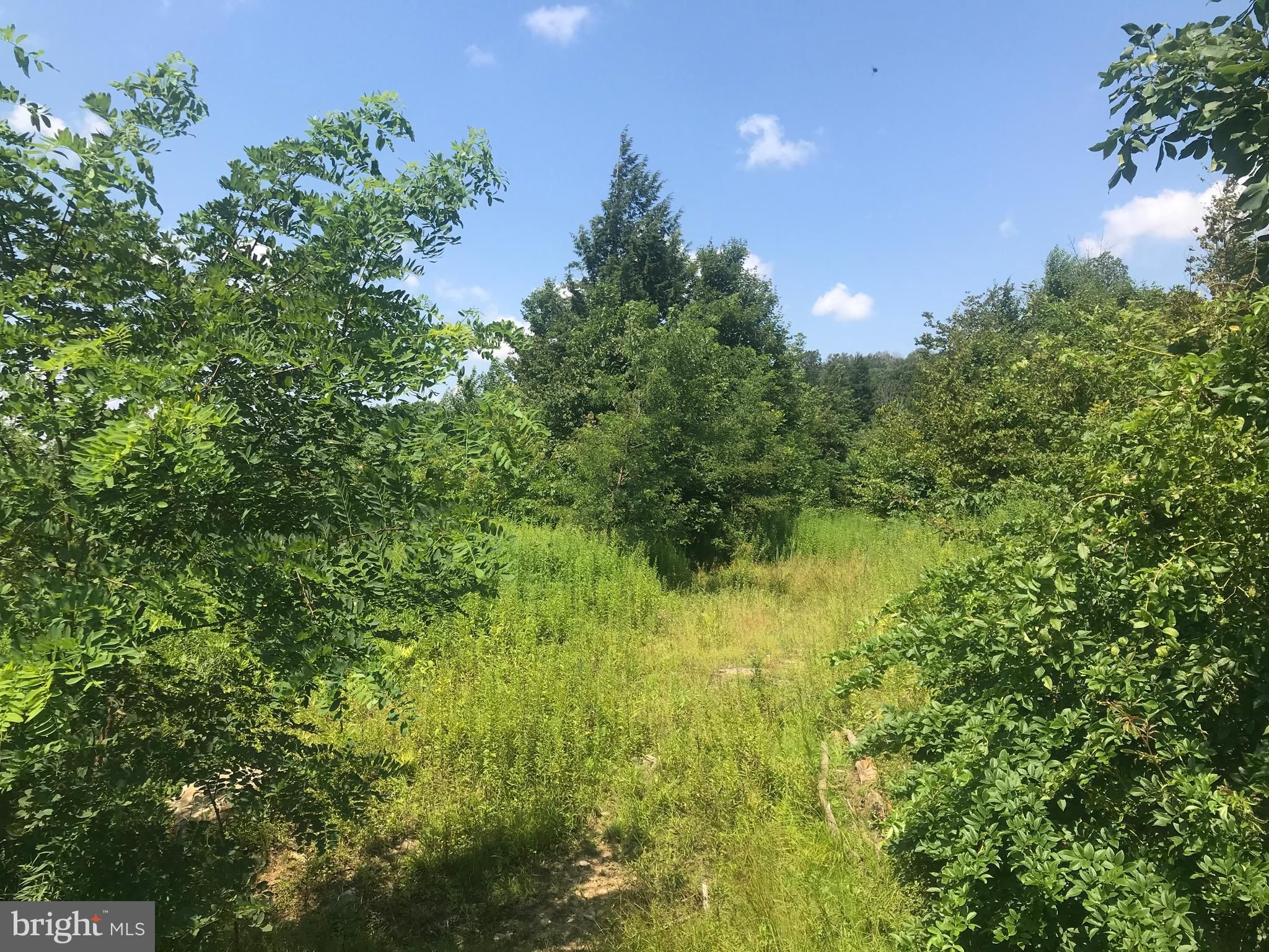 Springs, Somerset County, PA Undeveloped Land for sale Property ID 335910686 LandWatch