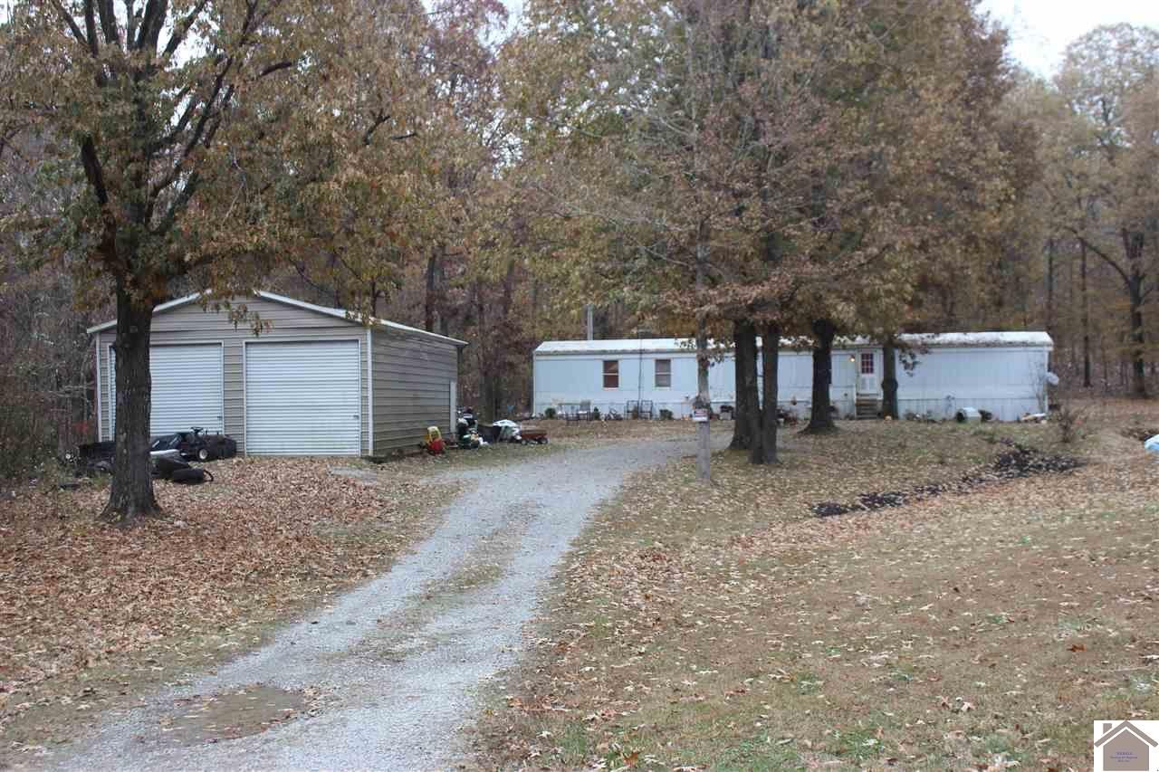 Tiline, Livingston County, KY House for sale Property ID 335924008