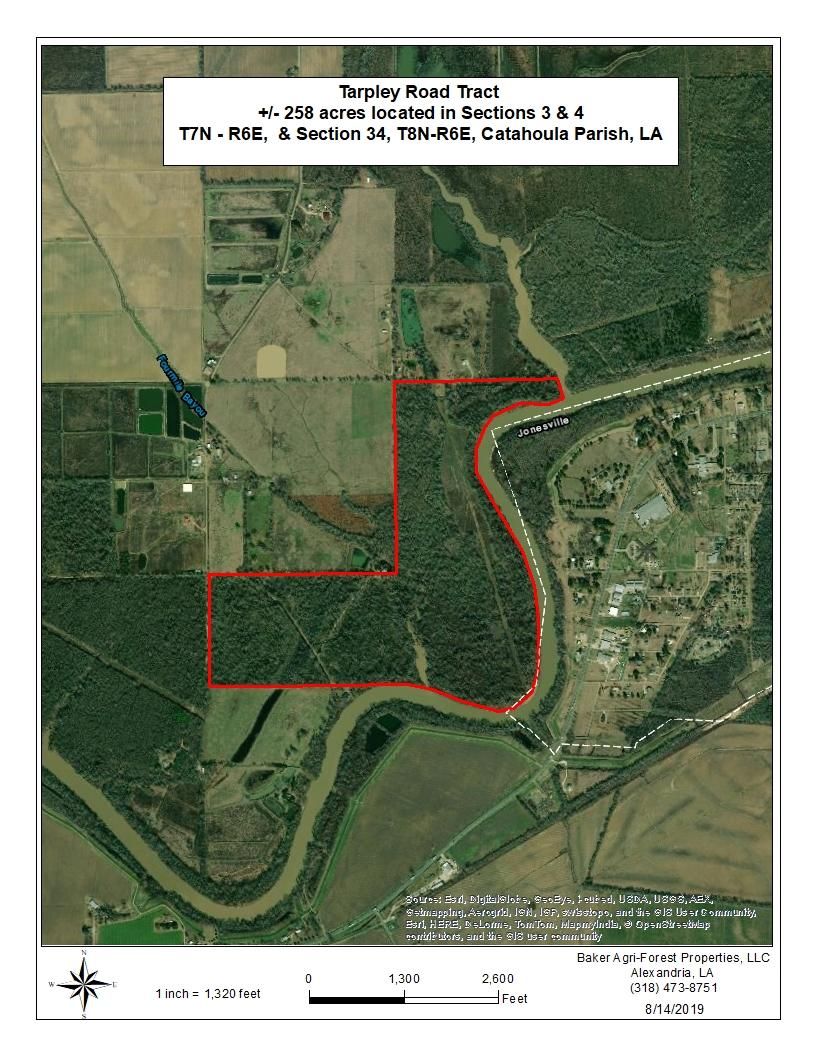 Jonesville, Catahoula Parish, LA Recreational Property, Timberland