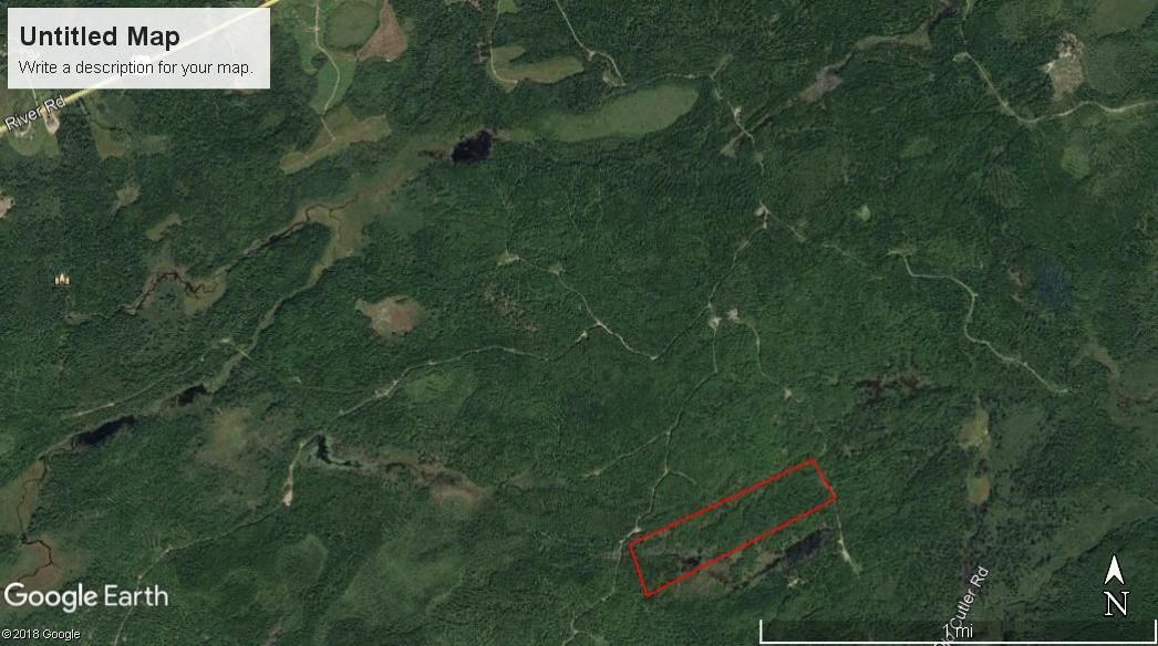 Whiting, Washington County, ME Recreational Property, Undeveloped Land