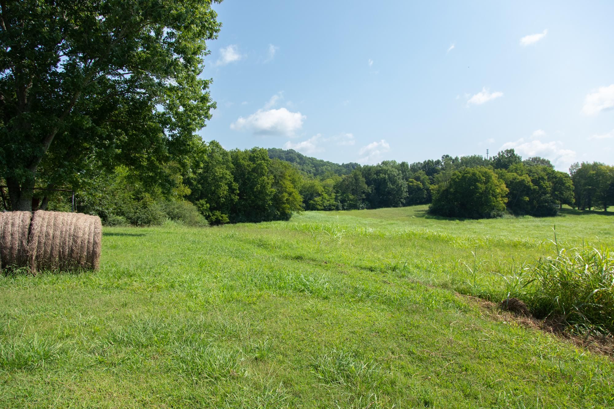 Columbia, Maury County, TN Farms and Ranches, Undeveloped Land for sale