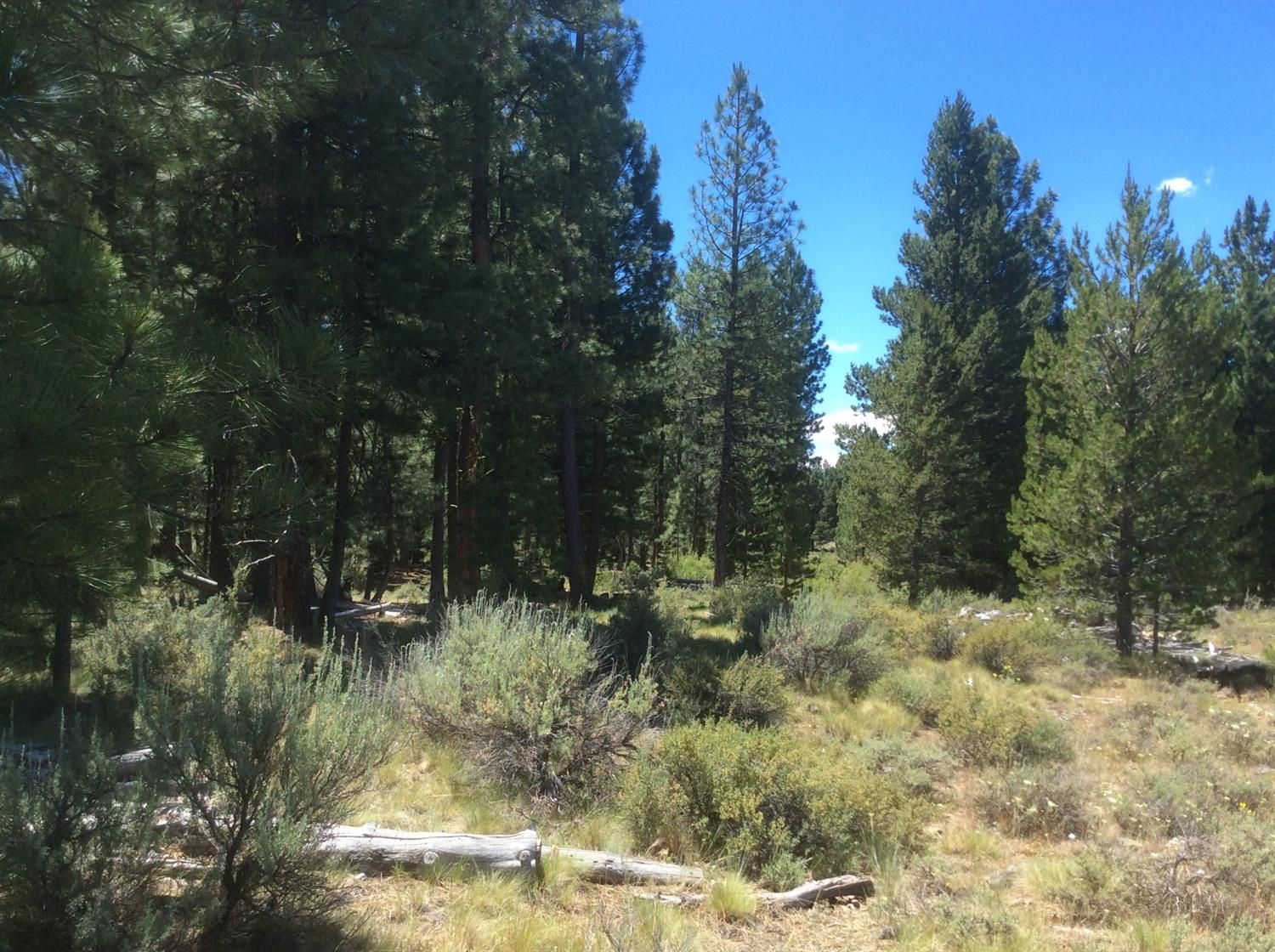 Bly, Klamath County, OR Undeveloped Land for sale Property ID