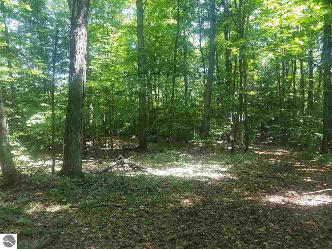 Antrim, Antrim County, MI Undeveloped Land, Lakefront Property