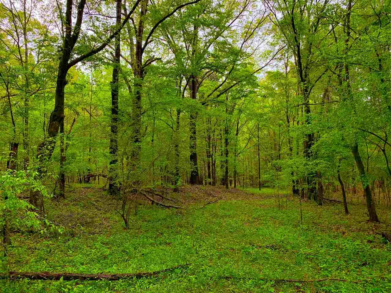 Pocahontas, Hinds County, MS Undeveloped Land for sale Property ID