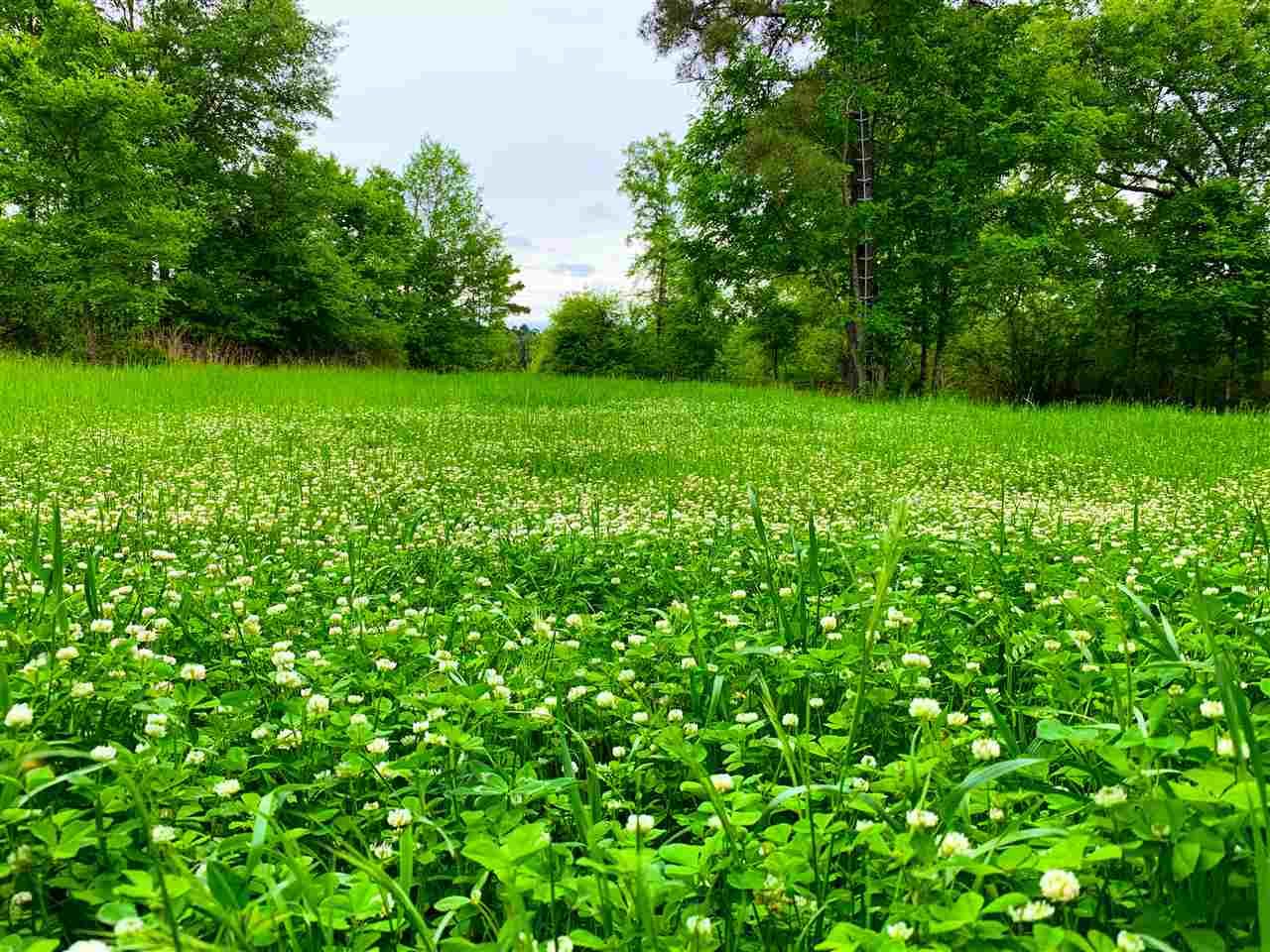 Pocahontas, Hinds County, MS Undeveloped Land for sale Property ID