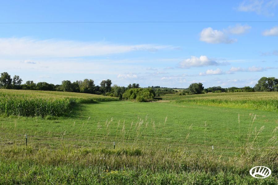 Lineville, Decatur County, IA Recreational Property, Timberland Property, Hunting Property for