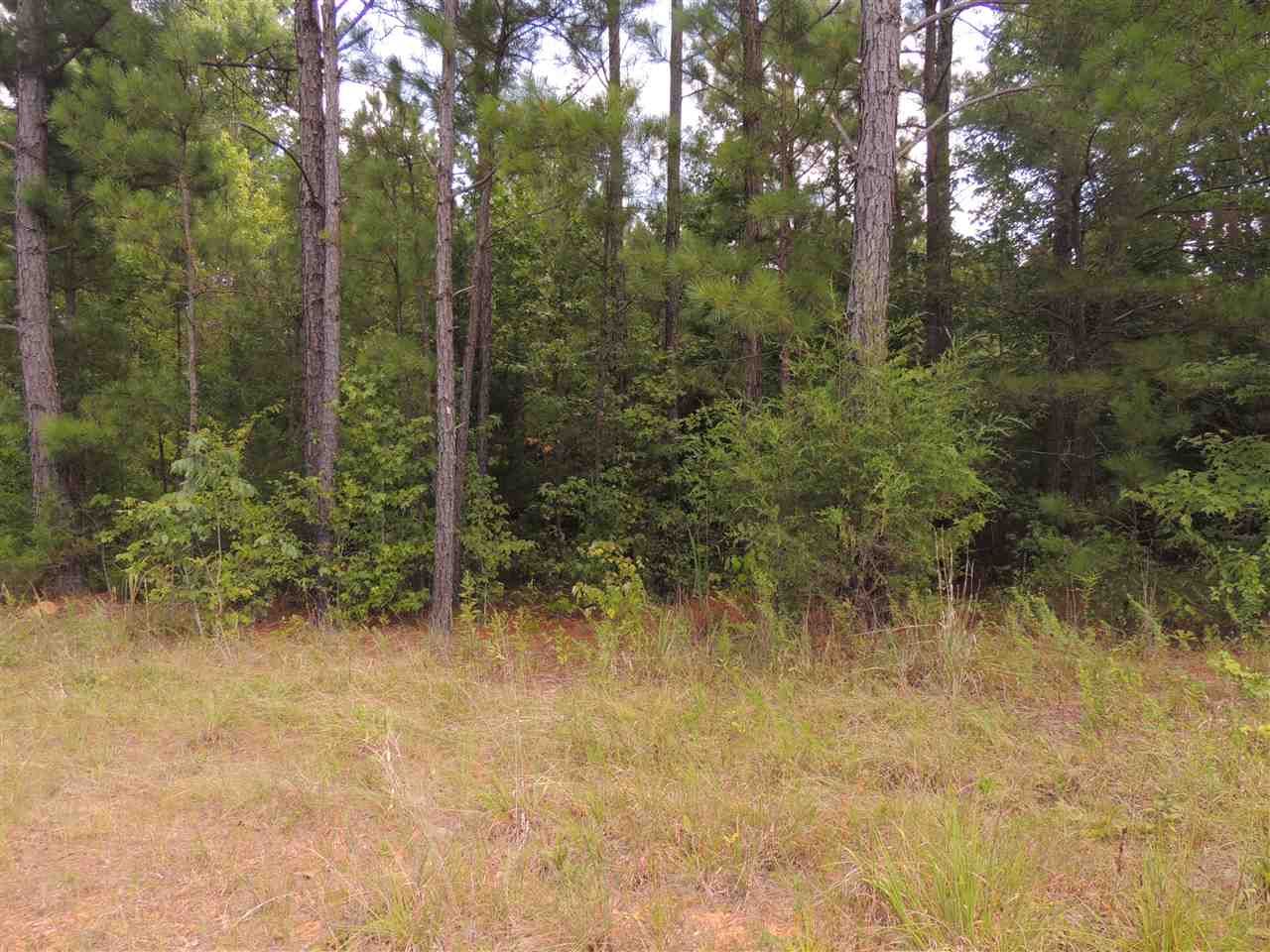 Reagan, Henderson County, TN Undeveloped Land for sale Property ID