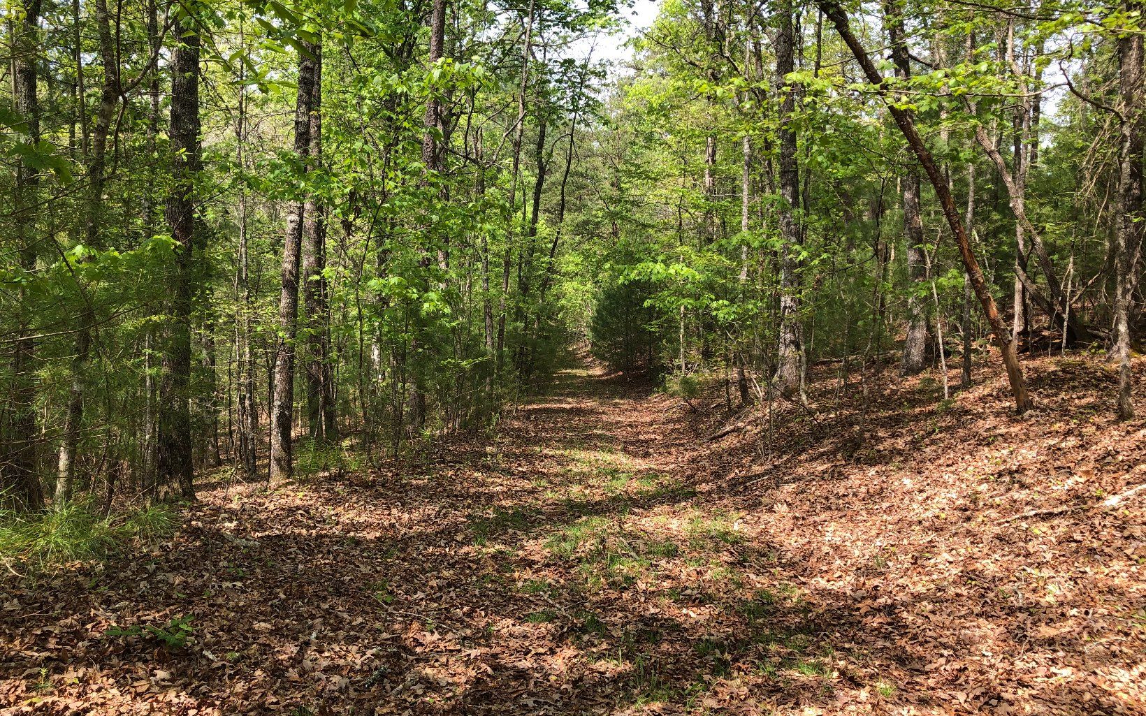 Brasstown, Clay County, NC Undeveloped Land for sale Property ID
