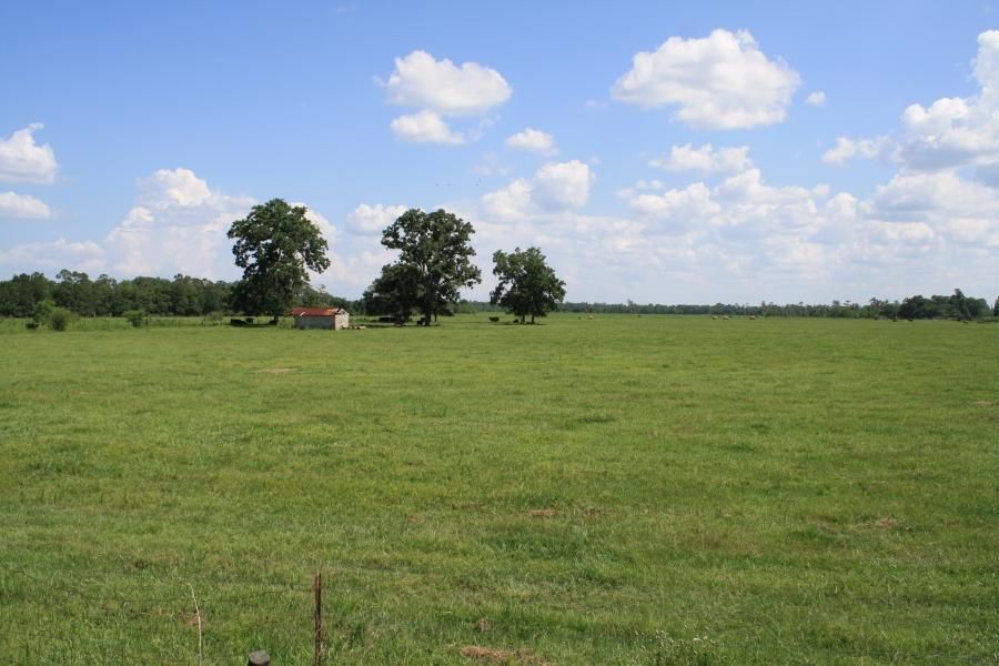 Callahan, Nassau County, FL Farms and Ranches, Commercial Property