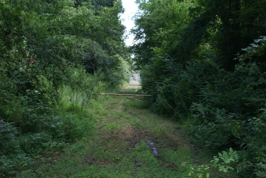 Ruffin, Colleton County, SC Recreational Property, Hunting Property for