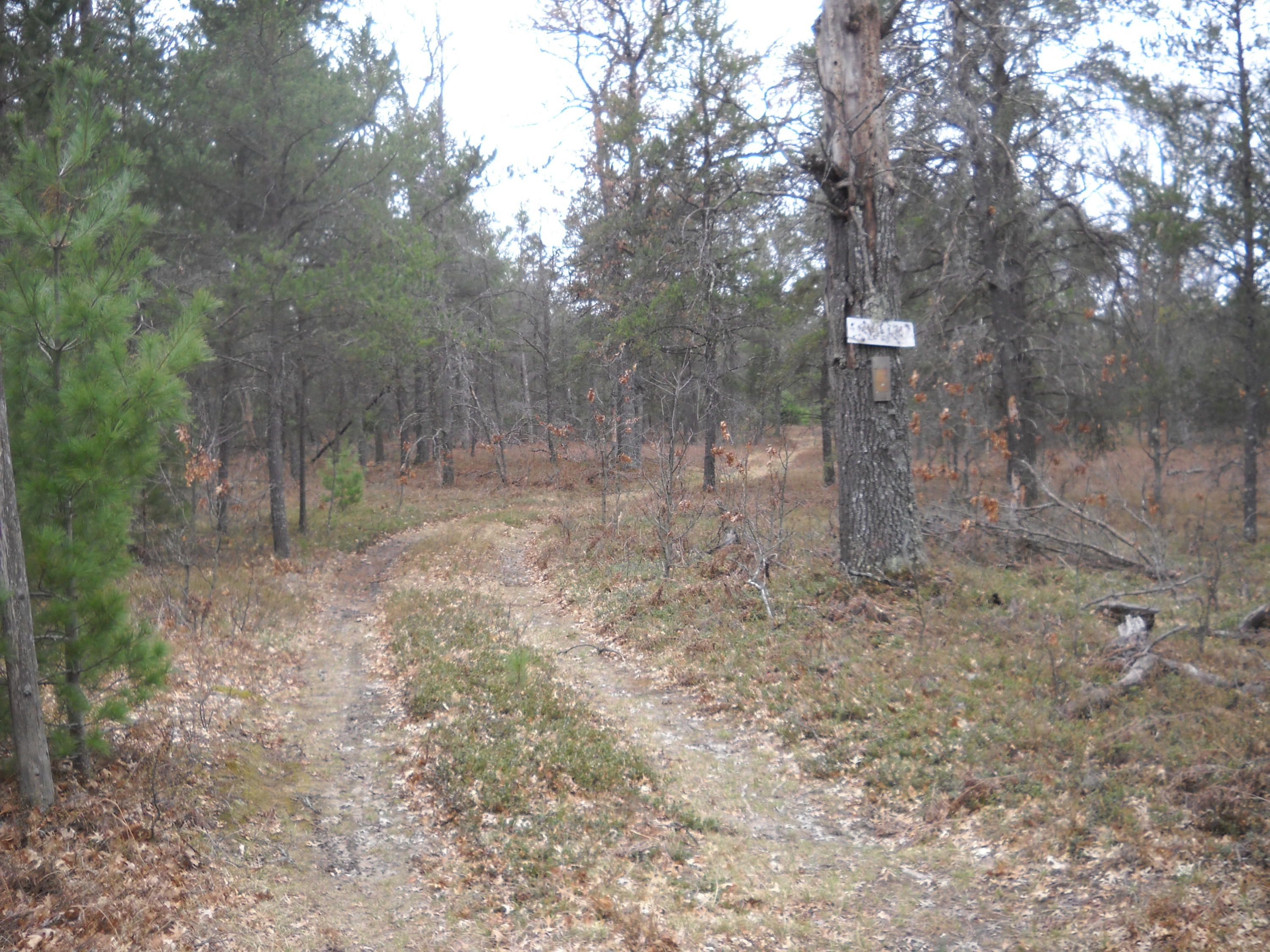 Lewiston, Oscoda County, MI Undeveloped Land for sale Property ID