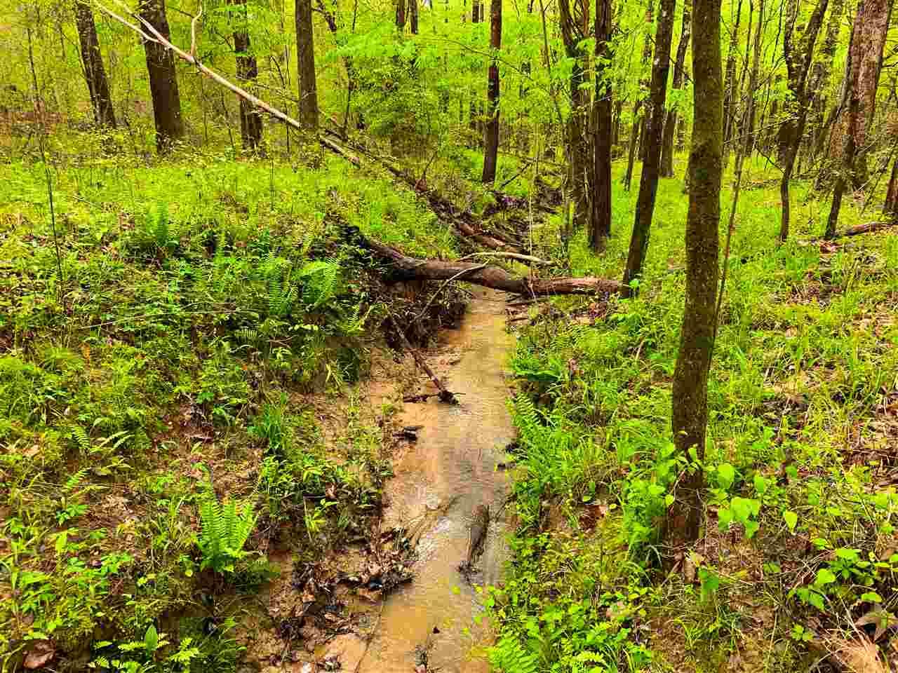 Pocahontas, Hinds County, MS Undeveloped Land, Lakefront Property