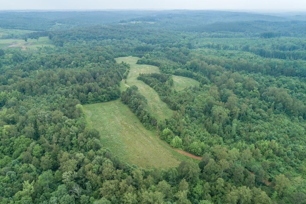 Nathalie, Halifax County, VA Undeveloped Land for sale Property ID