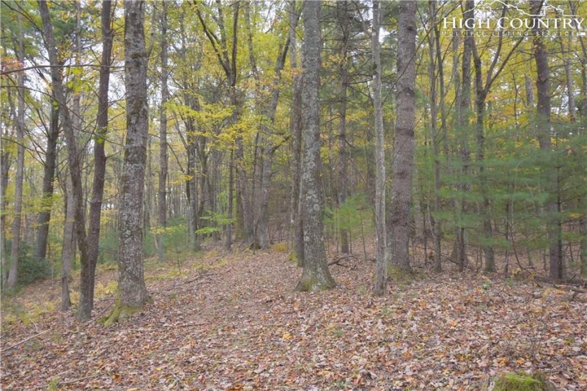 West Jefferson, Ashe County, NC Recreational Property, Undeveloped Land