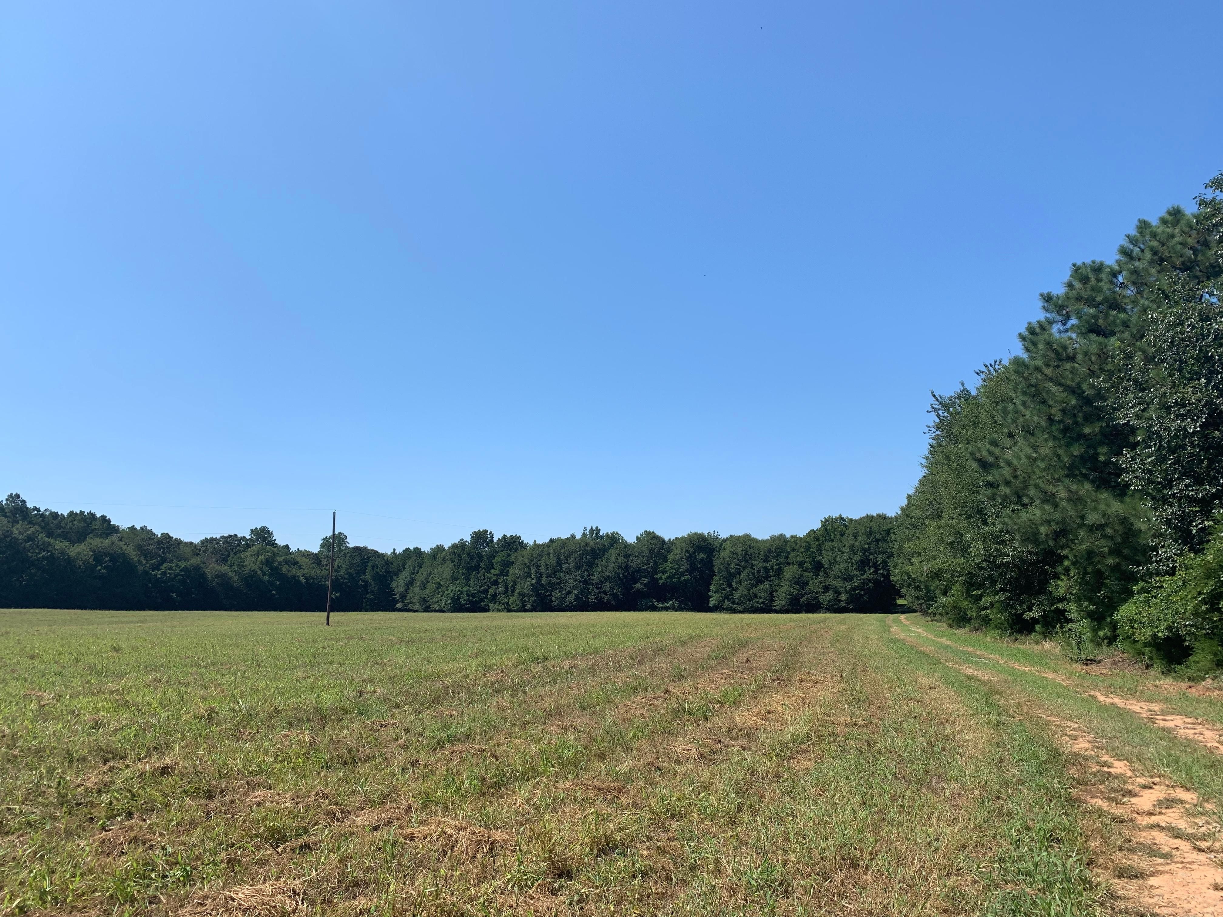 Hwy 72 East, Comer, GA 30629 LandWatch