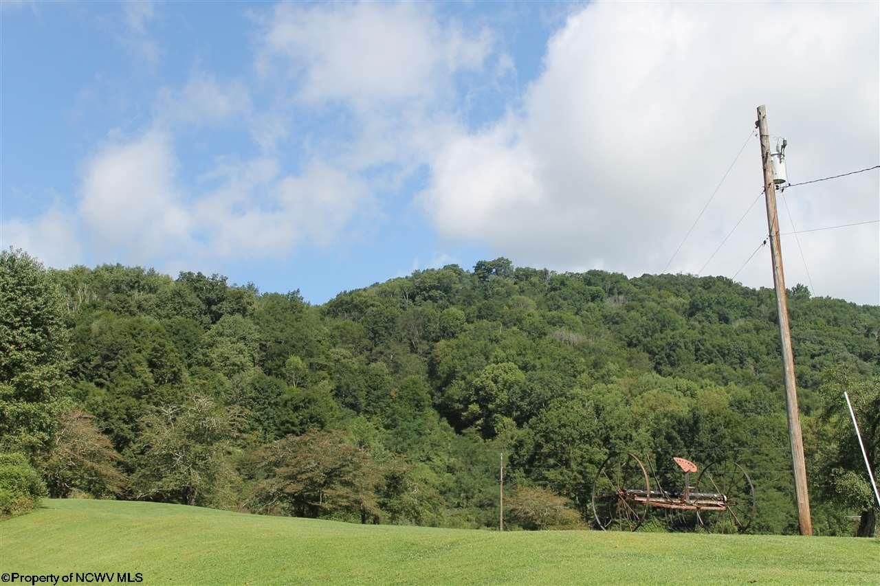 Harman, Randolph County, WV Undeveloped Land for sale Property ID