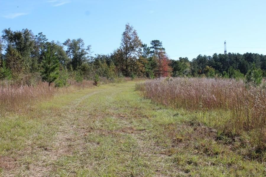 Gibson, Glascock County, GA Timberland Property, Undeveloped Land