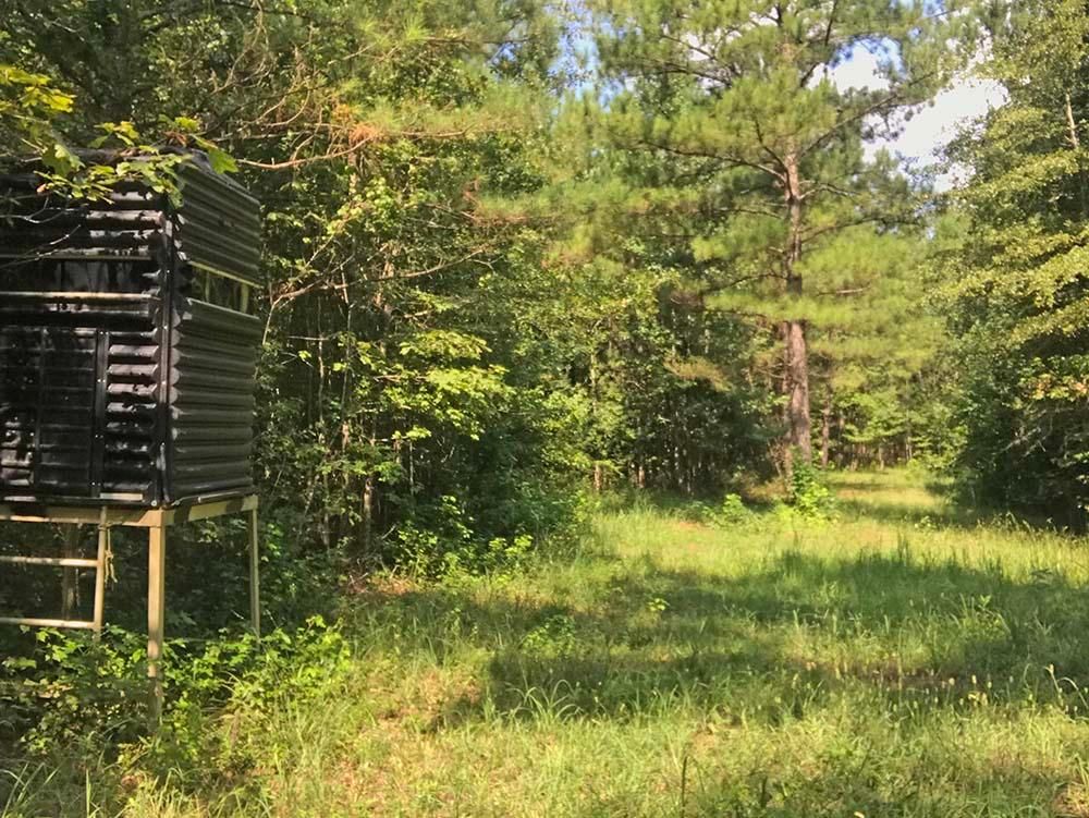 Montrose, Jasper County, MS Recreational Property, Hunting Property for