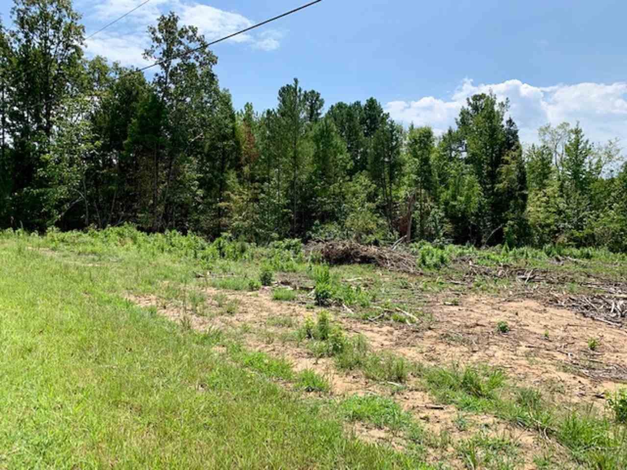 Chester, Chester County, SC Undeveloped Land, Homesites for sale