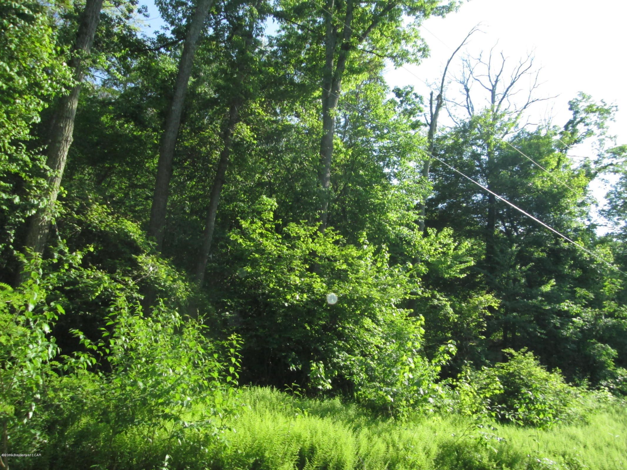 Nescopeck, Luzerne County, PA Undeveloped Land for sale Property ID