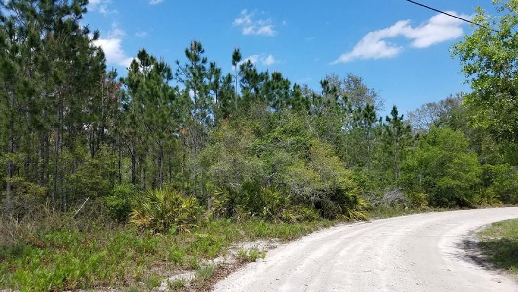 Pierson, Volusia County, FL Recreational Property, Timberland Property