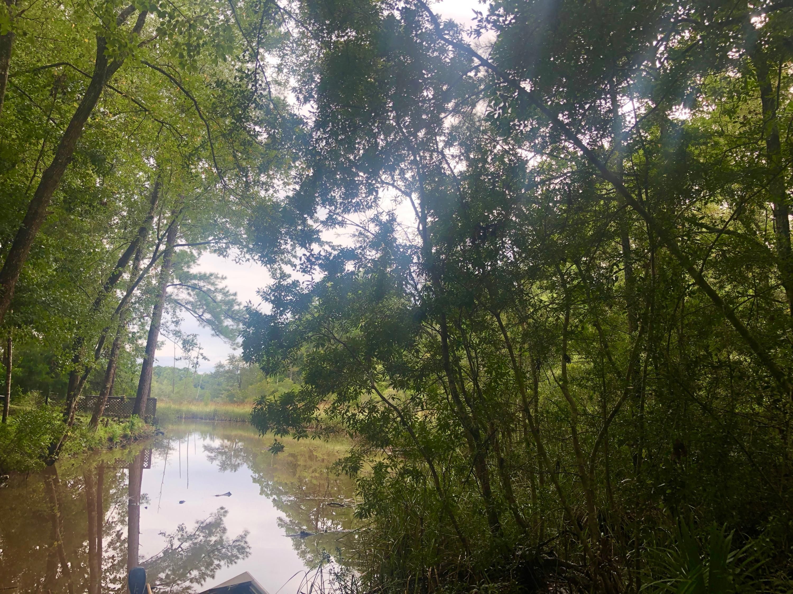 Freeport, Walton County, FL Undeveloped Land, Lakefront Property