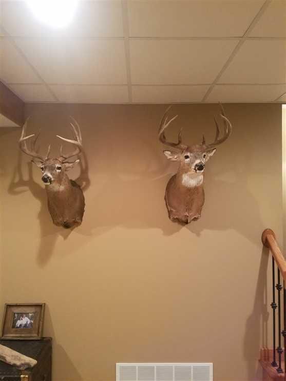 Browning, Sullivan County, MO Farms and Ranches, Recreational Property