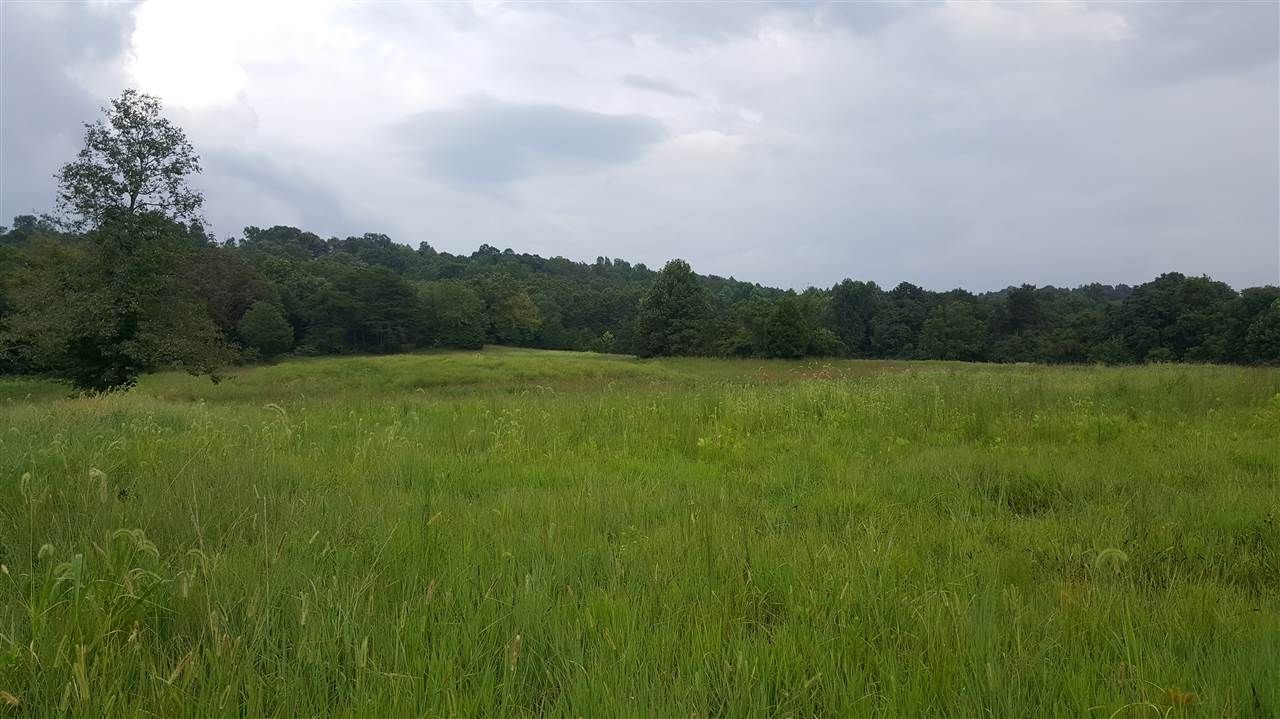 Sharon Grove, Todd County, KY Undeveloped Land for sale Property ID