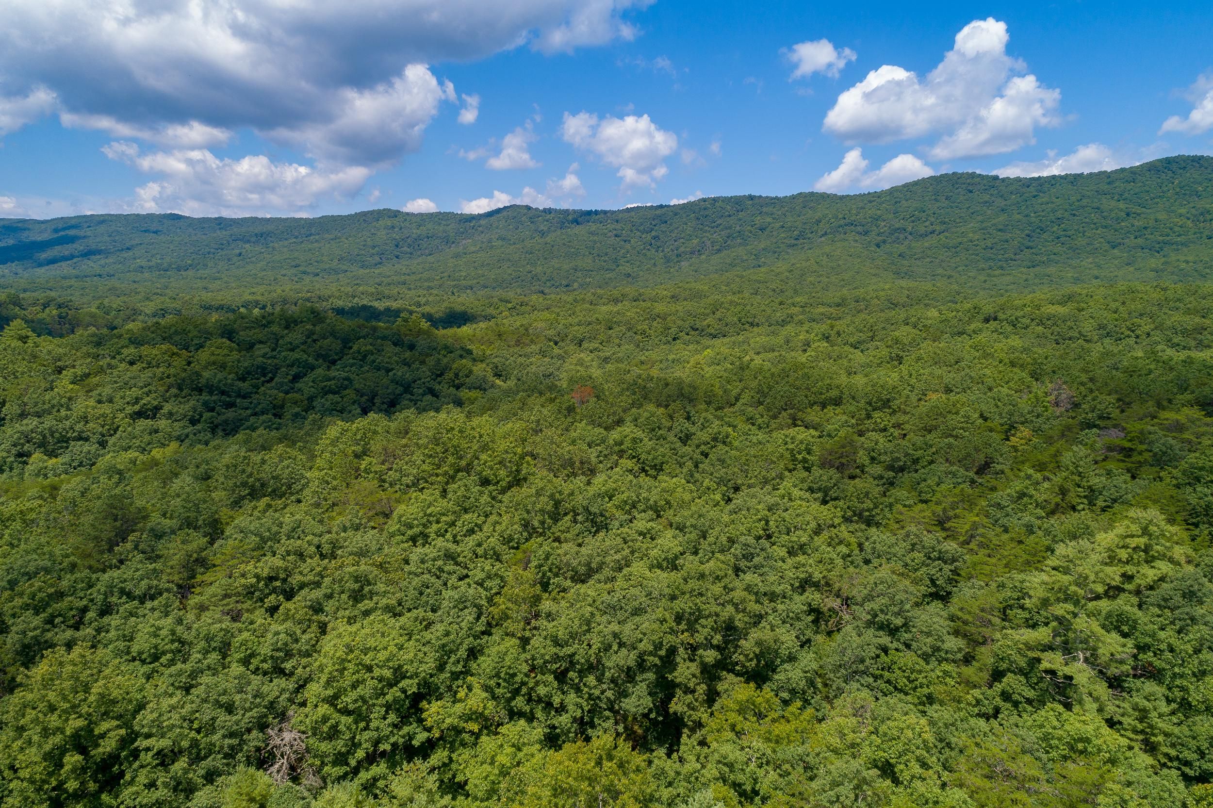 218 acres in Bland, VA, 24315 MLS 82177 LandWatch