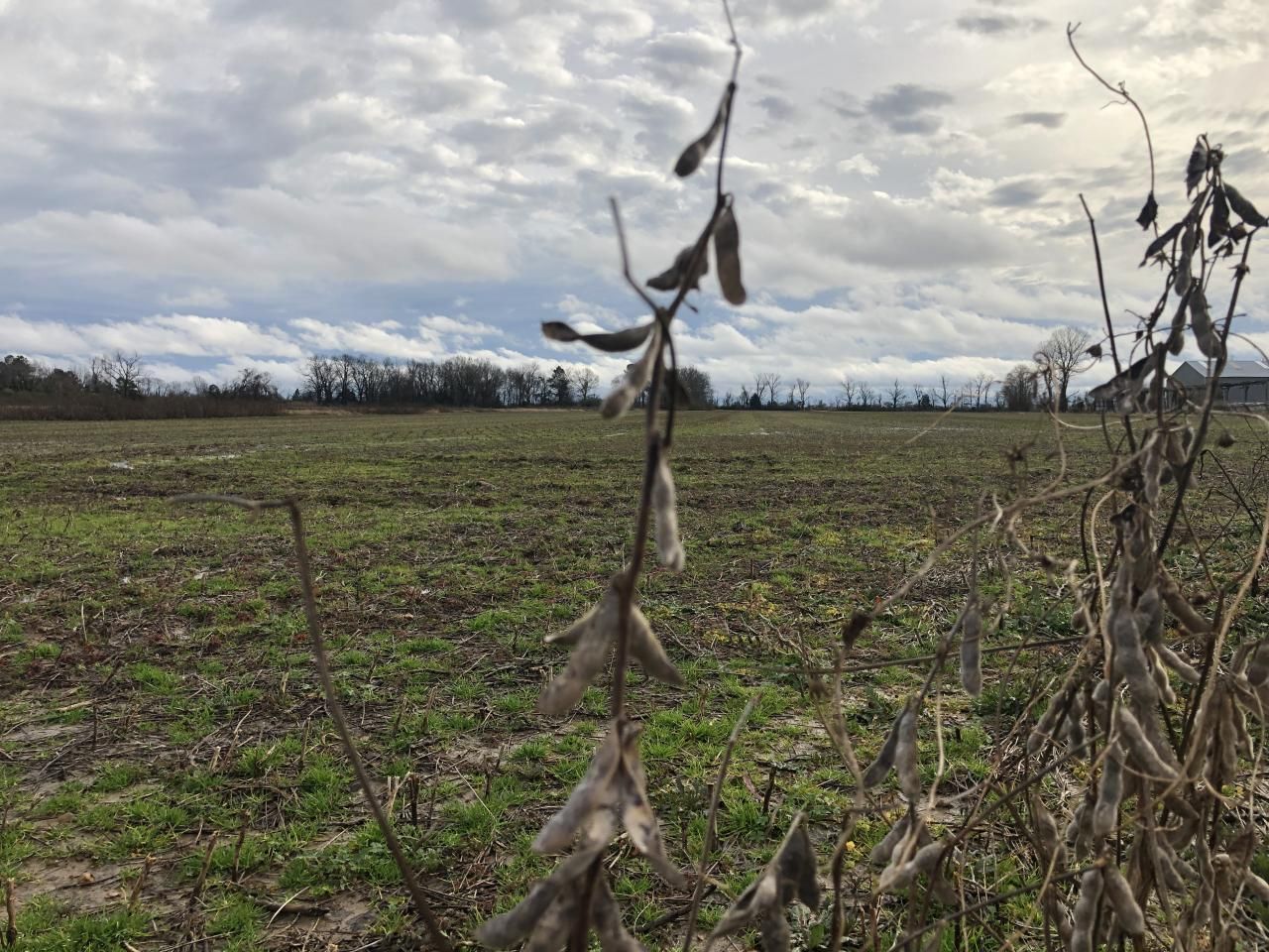 Forrest City, Saint Francis County, AR Farms and Ranches, Commercial