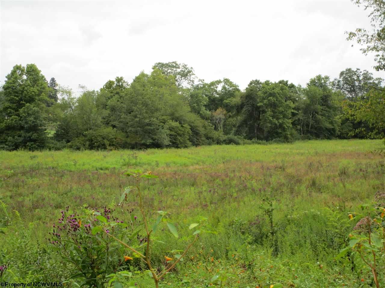 Montrose, Randolph County, WV Undeveloped Land for sale Property ID