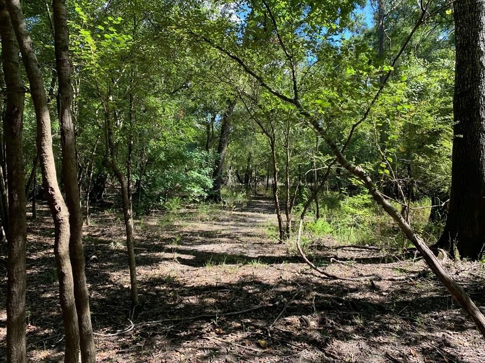 Bell, Gilchrist County, FL Undeveloped Land for sale Property ID