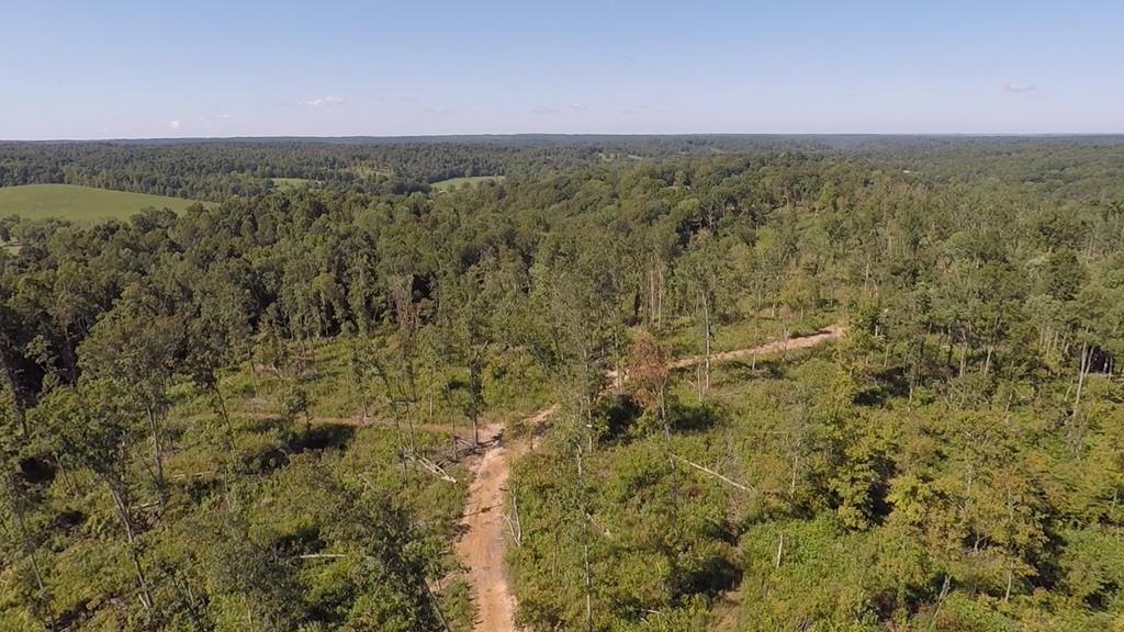 Tennessee Ridge, Houston County, TN Undeveloped Land for sale Property