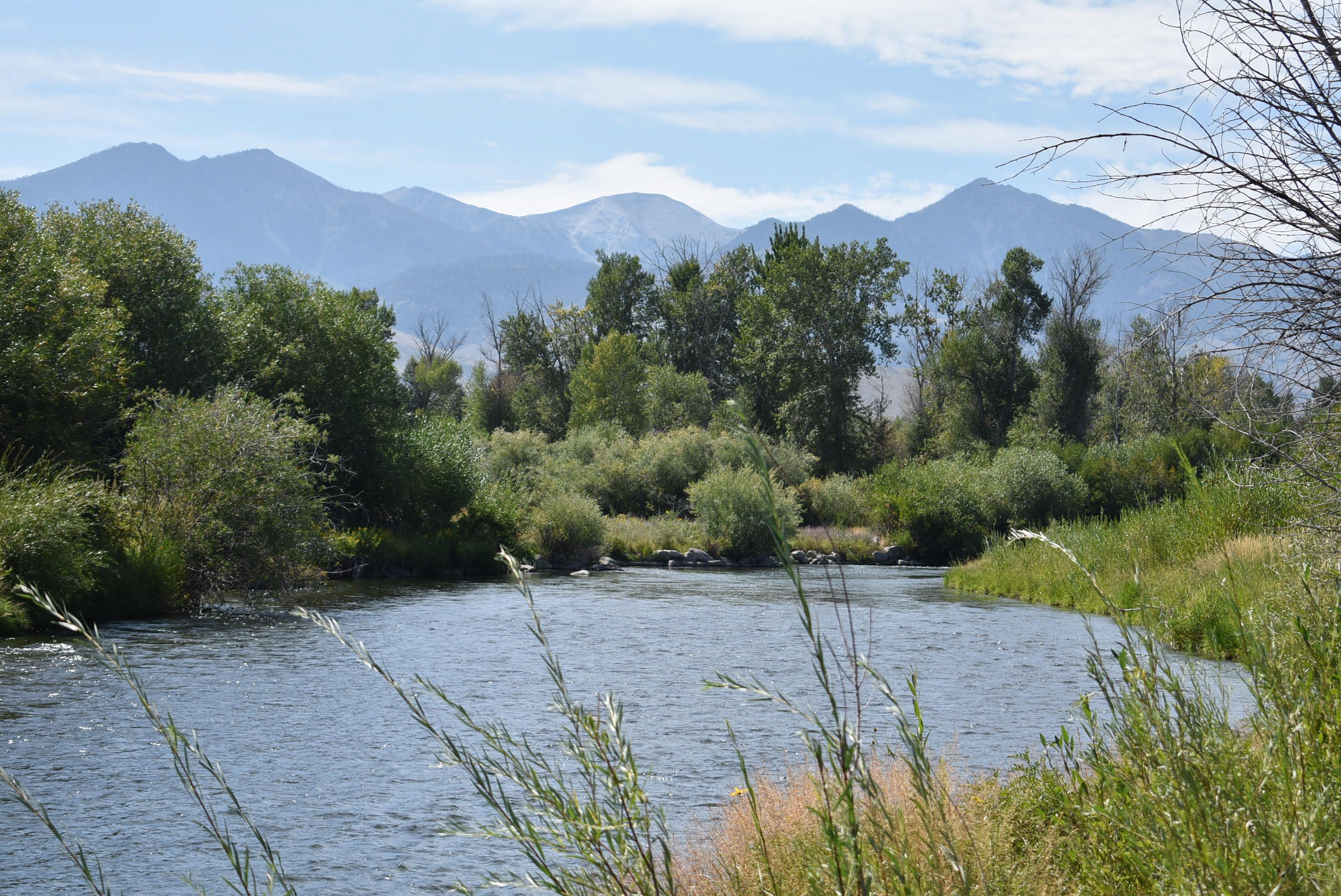 Mackay, Custer County, ID Lakefront Property, Waterfront Property