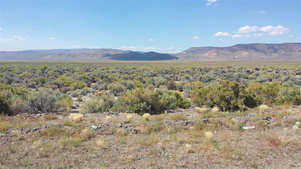 Gerlach, Washoe County, NV Undeveloped Land for sale Property ID