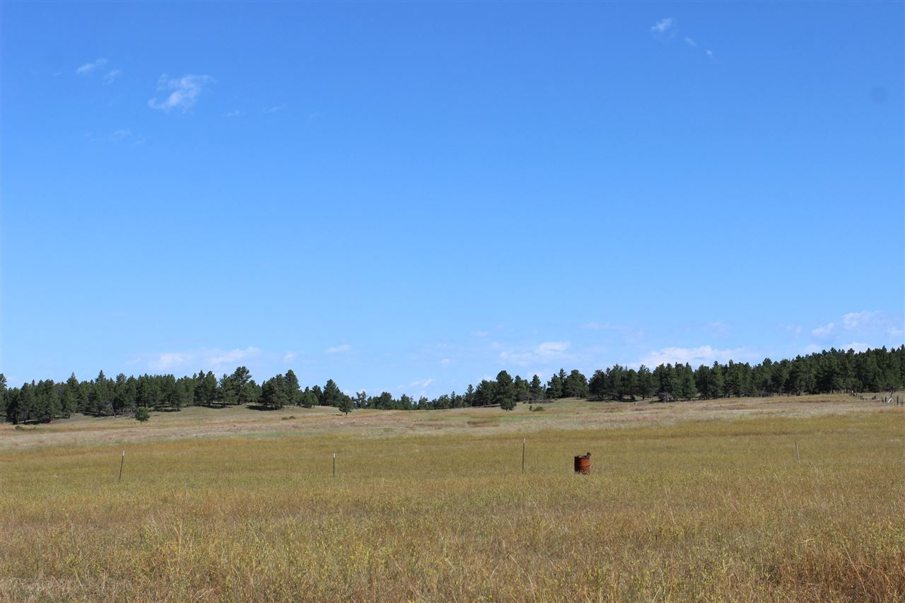 Custer, Custer County, SD Undeveloped Land for sale Property ID