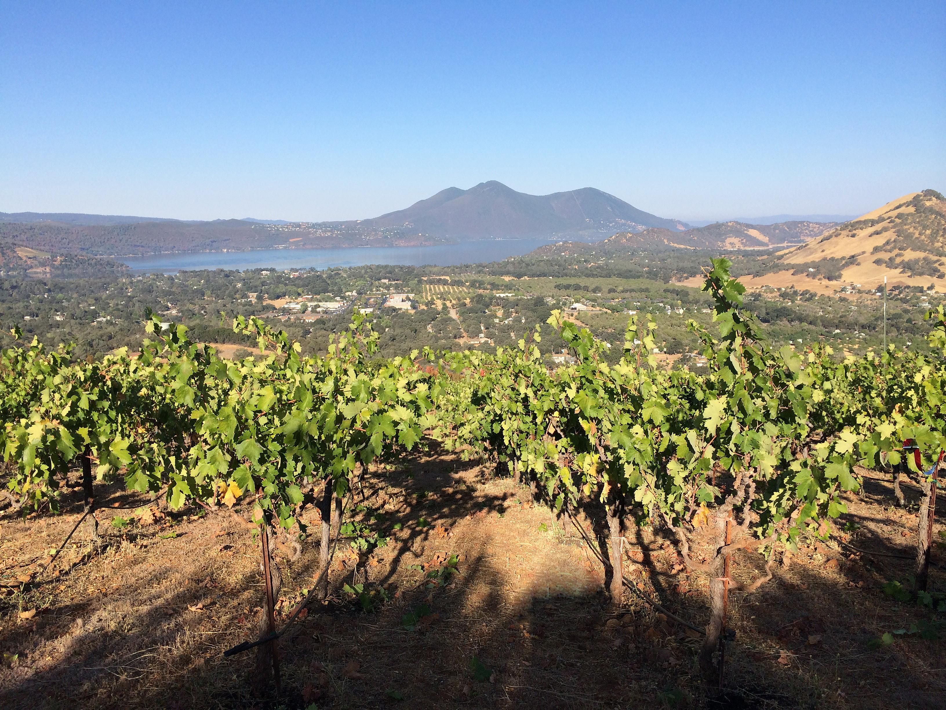 Clearlake, Lake County, CA Farms and Ranches, Commercial Property for