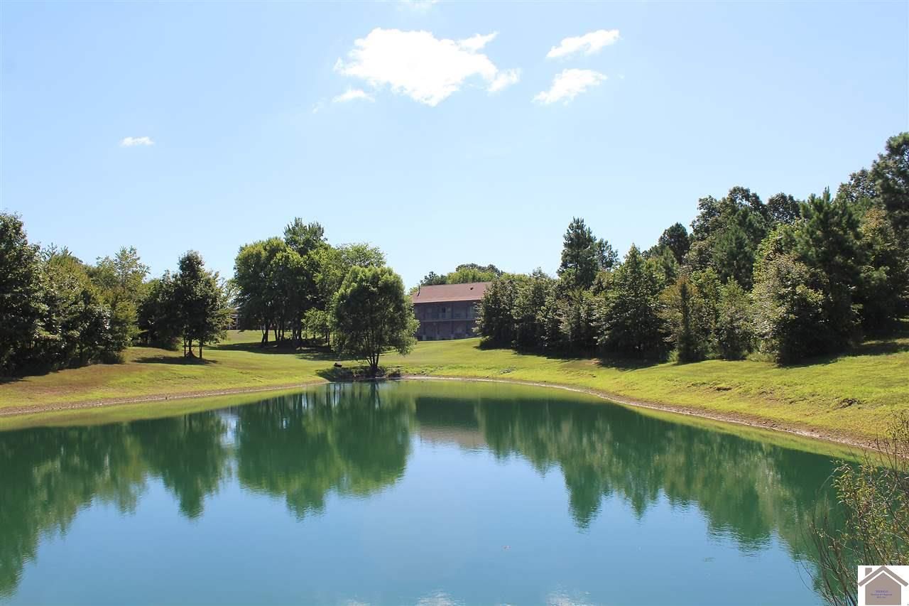 New Concord, Calloway County, KY Farms and Ranches, House for sale